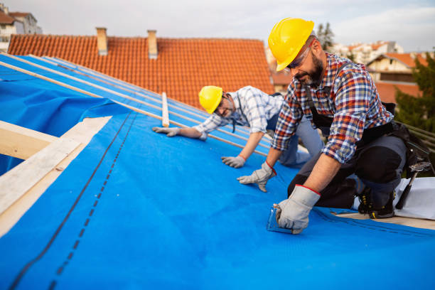 Best Flat Roof Repair Services  in Mexico, IN
