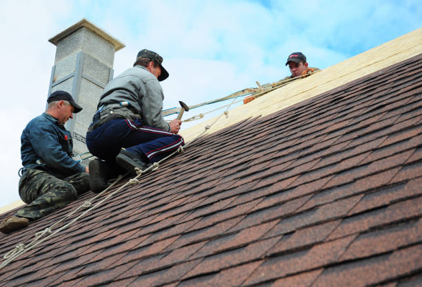 Sealant for Roof in Mexico, IN